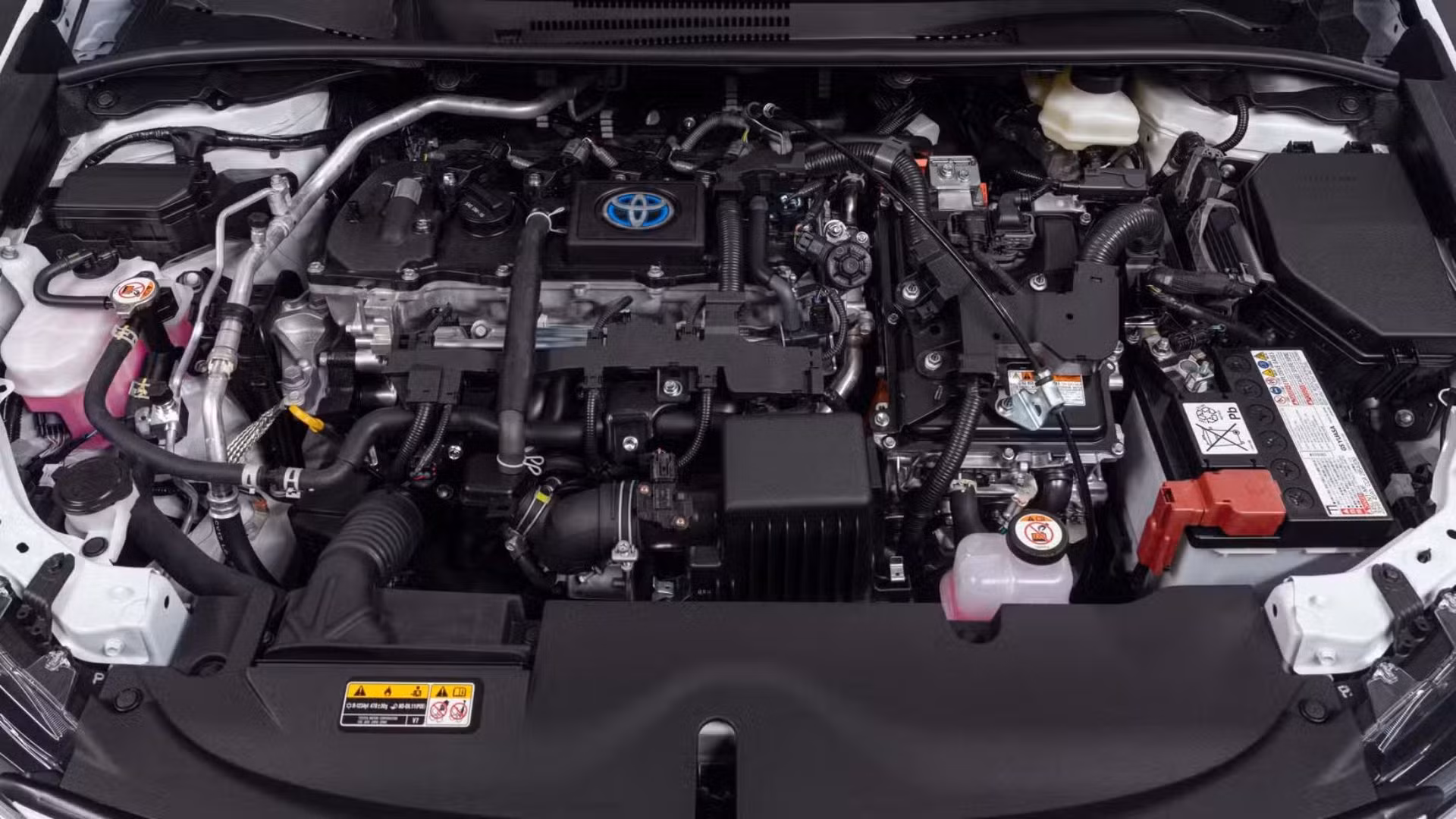 Toyota Corolla Hybrid Infrared Special