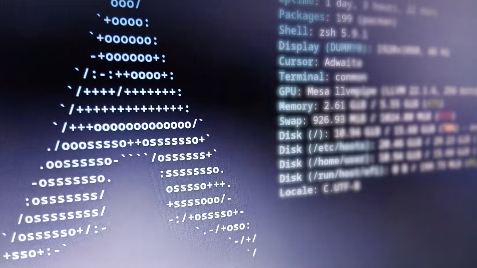 A closeup of a terminal that displays information for an Arch Linux system.