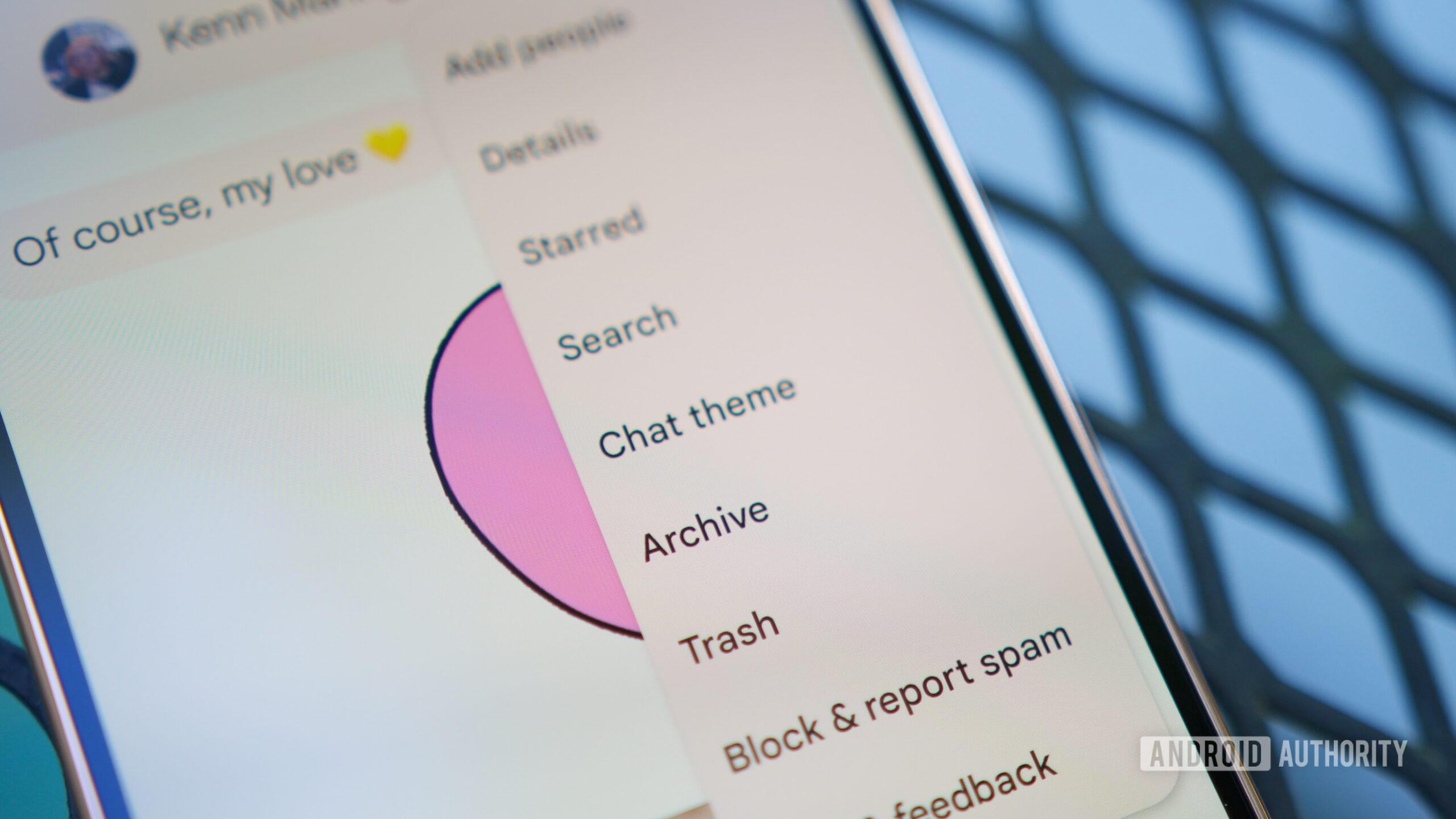 Chat theme options in Google Messages.